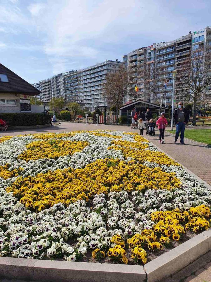 Sun And Fun Apartment Бланкенберге Екстериор снимка